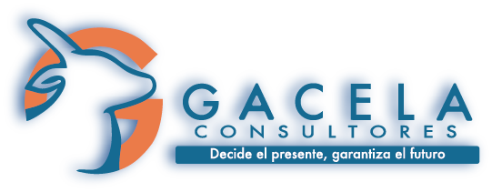 Gacela Consultores